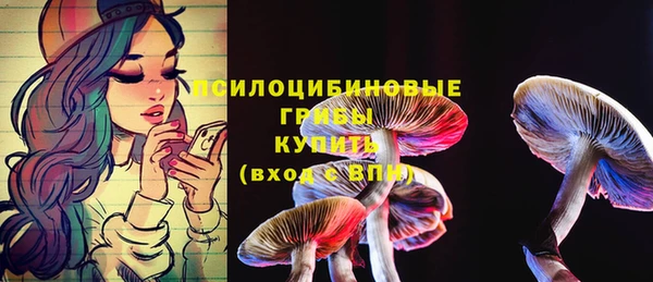 дмт Балабаново